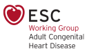 ESC Working Group on Adult Congenital Heart Disease